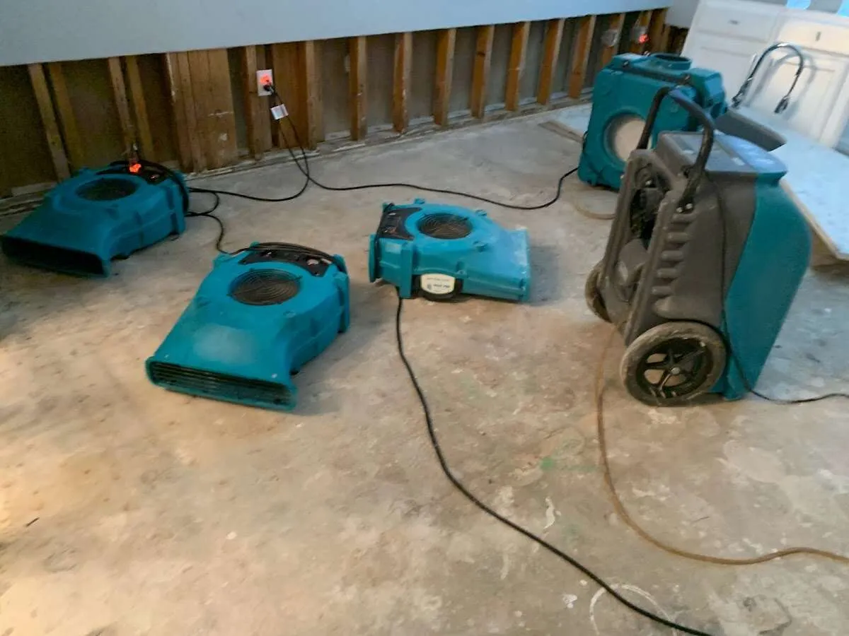 Water Damage Assessment in Picture Rocks, AZ